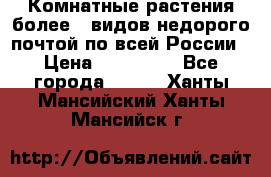Комнатные растения более200видов недорого почтой по всей России › Цена ­ 100-500 - Все города  »    . Ханты-Мансийский,Ханты-Мансийск г.